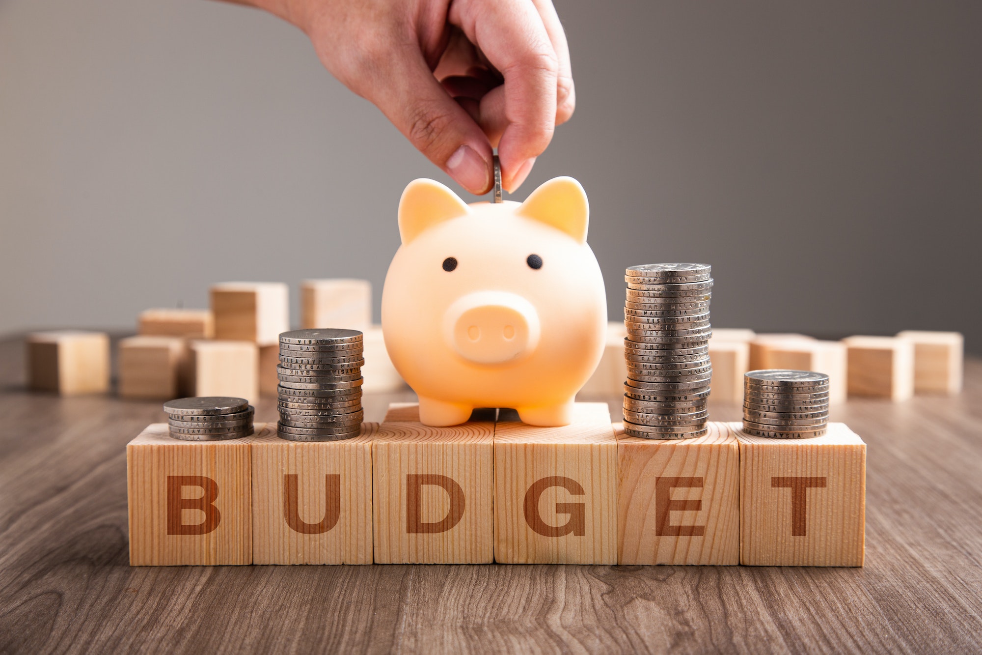 Understanding a budget and its importance