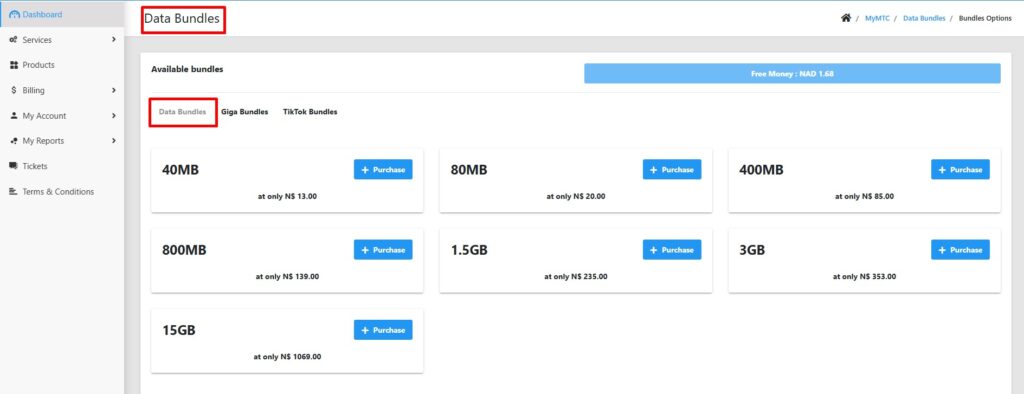 How to Buy MTC Data Bundles in Namibia: Simple Methods and Tips